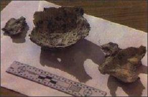 Restos óseos encontrados en el Führerbunker
