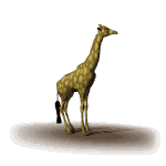giraffe_look_around_md_wht.gif (9564 bytes)