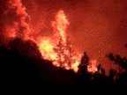 Flame-16.gif (45978 bytes)