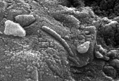 Microtuneles en las rocas procedentes de Marte