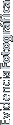 Evidencia Fotogr&aacute;fica