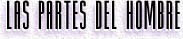 LAS PARTES DEL HOMBRE